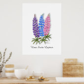 Nova Scotia Lupines Poster (Keuken)
