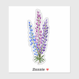 Nova Scotia Lupines Sticker