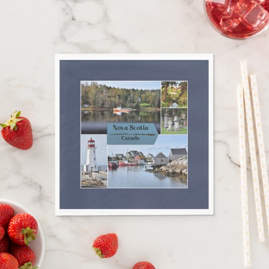 Nova Scotia reisposter, Servet (Insitu)