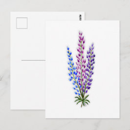 Nova Sotia Lupines Briefkaart