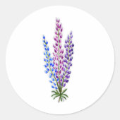 Nova Sotia Lupines Ronde Sticker (Voorkant)
