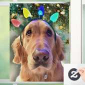 Nova The Golden Retriever Dog Kerstmis Raamsticker (Huis)