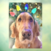Nova The Golden Retriever Dog Kerstmis Raamsticker (Vel 3)