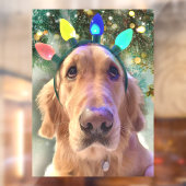 Nova The Golden Retriever Dog Kerstmis Raamsticker (Vel 2)