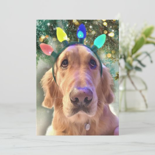Nova the Golden Retriever Dog Kerstmis Uitnodiging (Staand voorkant)