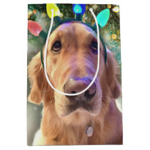 Nova the Golden Retriever - kerstcadeautas