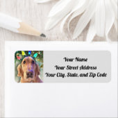 Nova The Golden Retriever kerstlampje Etiket (Insitu)