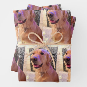 Nova the Golden Retriever - Papier met onmiddellij Inpakpapier Vel