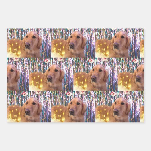 Nova the Golden Retriever - Papier met onmiddellij Inpakpapier Vel (Voorkant)