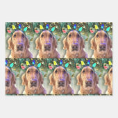 Nova the Golden Retriever - Papier met onmiddellij Inpakpapier Vel (Voorkant 2)