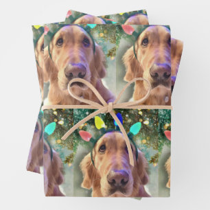 Nova the Golden Retriever - Papier met onmiddellij Inpakpapier Vel
