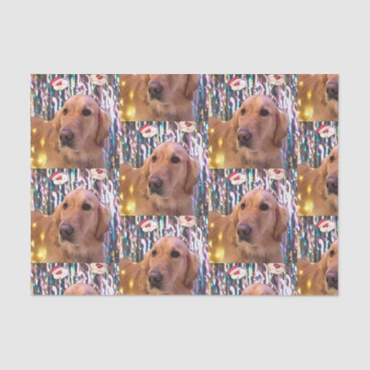 Nova the Golden Retriever Santa Kerstmis Tissuepapier (Voorkant)