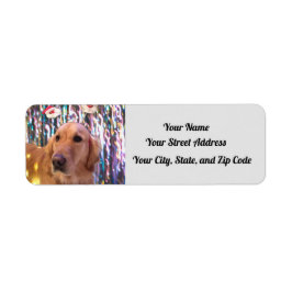 Nova The Golden Retriever - Santa Paws - Adres Etiket