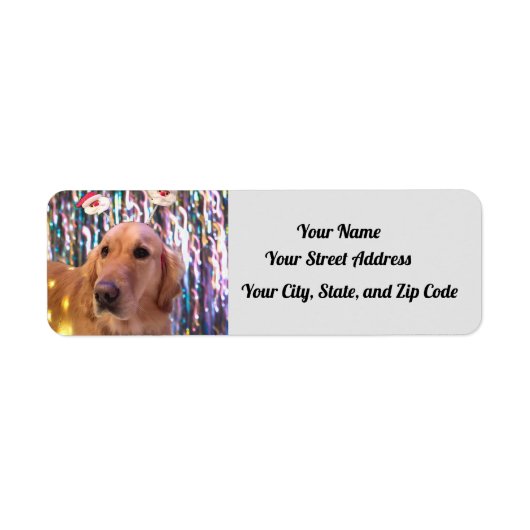 Nova The Golden Retriever - Santa Paws - Adres Etiket (Voorkant)