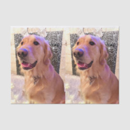 Nova the Golden Retriever Tissue Paper Tissuepapier