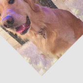 Nova the Golden Retriever Tissue Paper Tissuepapier (Detail)