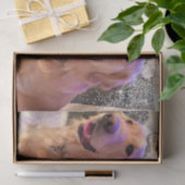 Nova the Golden Retriever Tissue Paper Tissuepapier (Geschenk)