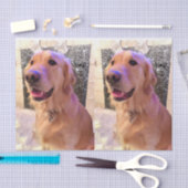 Nova the Golden Retriever Tissue Paper Tissuepapier (Craft)