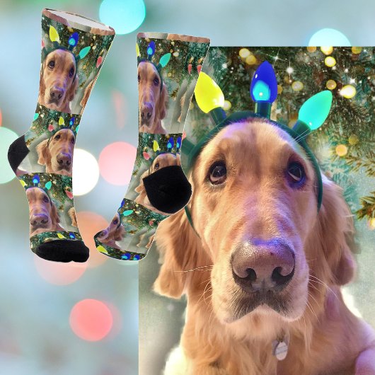 Nova The Golden Retriever's kerstman sokken