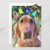 Nova's Bah Humbug Kerst - Golden Retriever - Feestdagenkaart (Voorkant / Achterkant)