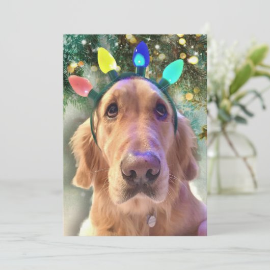 Nova's Bah Humbug Kerst - Golden Retriever - Feestdagenkaart (Staand voorkant)