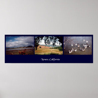 Novato, Californië Poster