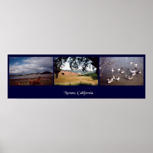 Novato, Californië Poster (Voorkant)