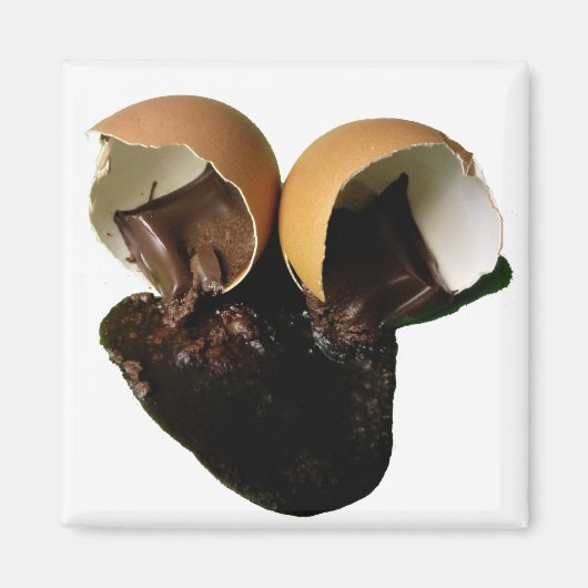 Novelty chocolade-eieren magneet (Voorkant)