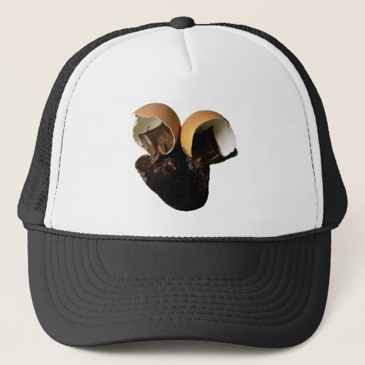 Novelty chocolade-eieren trucker pet (Voorkant)