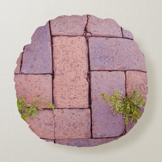 Novelty Rustic Red Brick Pavers Walkway Weeds Rond Kussen (Voorkant)