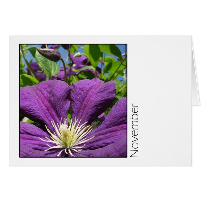 November (Voorkant Horizontaal)