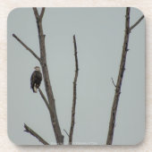 november bier onderzetter (Voorkant)