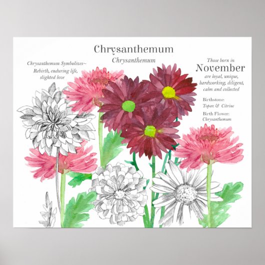 November Birth Flower Language of Flowers Poster (Voorkant)