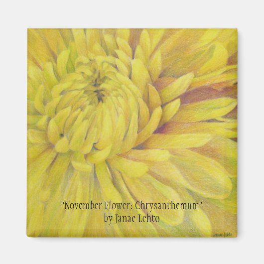 November Bloem: Chrysanthemum Magneet (Voorkant)