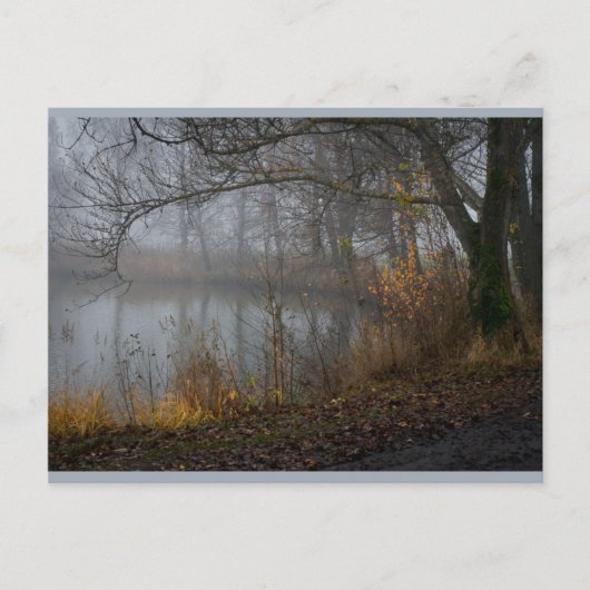 November - Boom CC0310 Briefkaart (Voorkant)