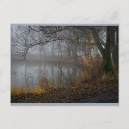 November - Boom CC0310 Briefkaart