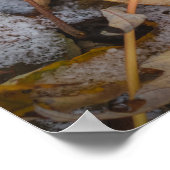 November bos: Gele bladeren onder de sneeuw Poster (Hoek)