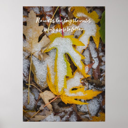 November bos: Gele bladeren onder de sneeuw Poster (Voorkant)