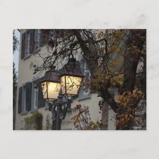 November Briefkaart (Voorkant)