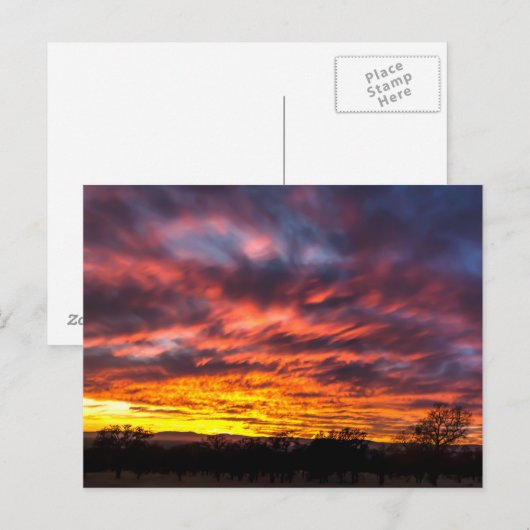 November Briefkaart (Voorkant / Achterkant)