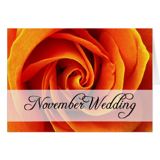 November bruiloft: roos van het seizoen : (Voorkant Horizontaal)