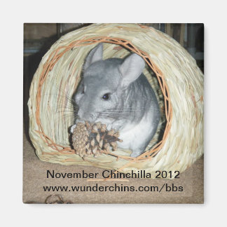 November chinchilla 2012 magneet