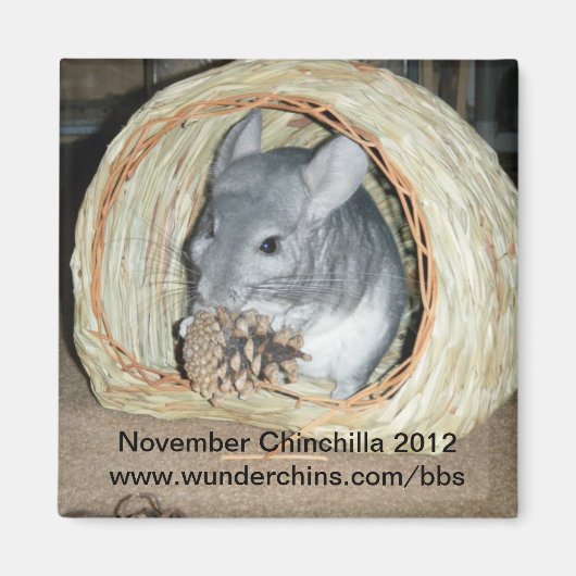 November chinchilla 2012 magneet (Voorkant)