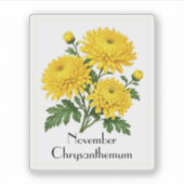 November Chrysanthemum Bloemen Sticker (Voorkant)
