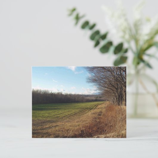 November Field II Briefkaart (Staand voorkant)