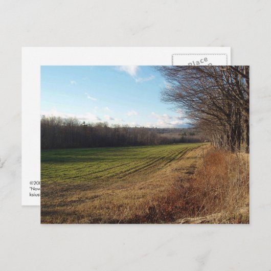 November Field II Briefkaart (Voorkant / Achterkant)