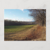 November Field II Briefkaart (Voorkant)