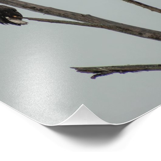 november foto afdruk (Hoek)