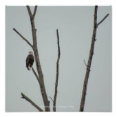 november foto afdruk (Voorkant)