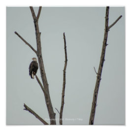 november foto afdruk